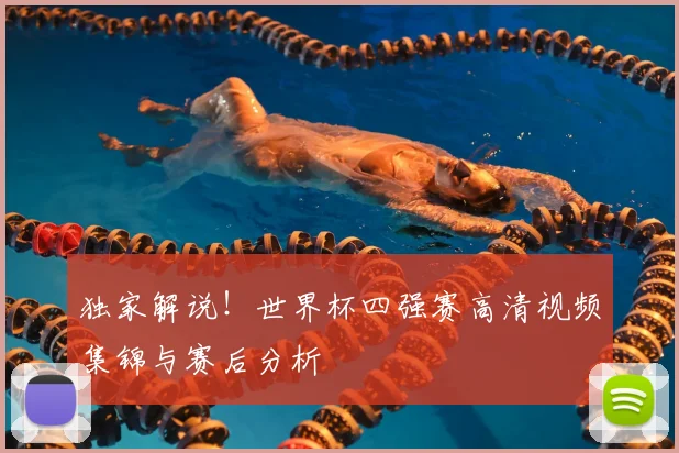 独家解说！世界杯四强赛高清视频集锦与赛后分析